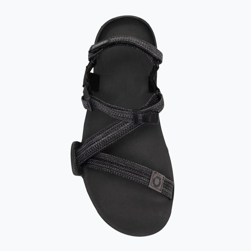 Сандалі barefoot чоловічі Xero Shoes Z-Trail EV multi / black 5