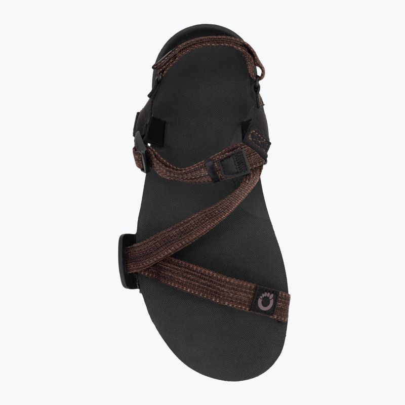 Сандалі barefoot чоловічі Xero Shoes Z-Trail EV multi / brown 5