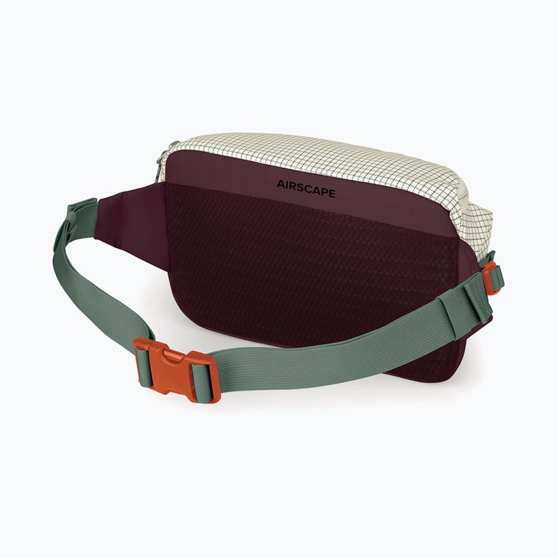 Сумка бананка Osprey Transporter Waist Pack 3 l mystery white/moody burgundy 3