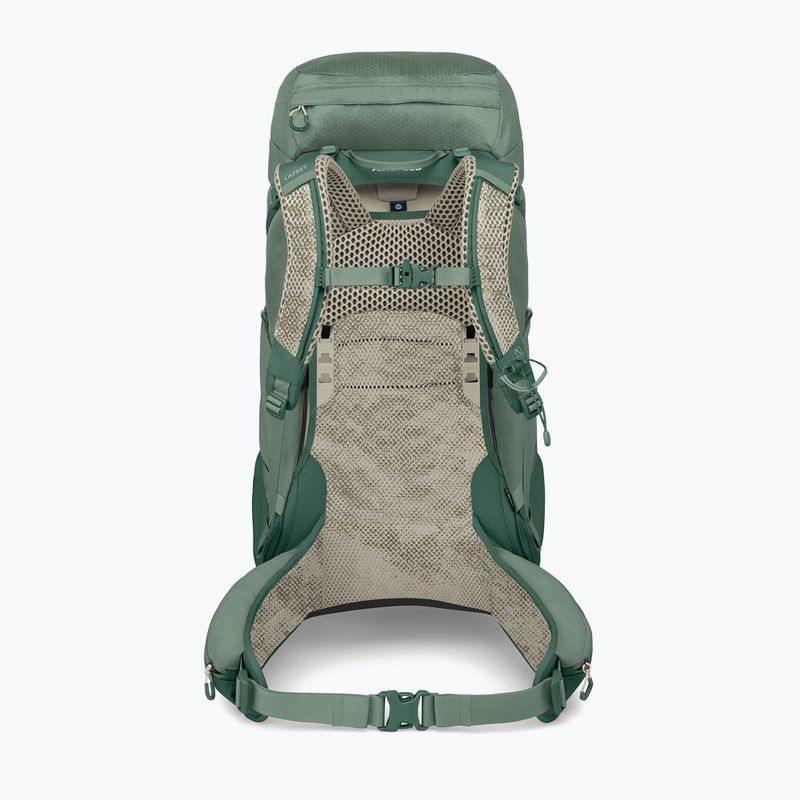 Рюкзак туристичний чоловічий Osprey Stratos 44 л pine leaf 3