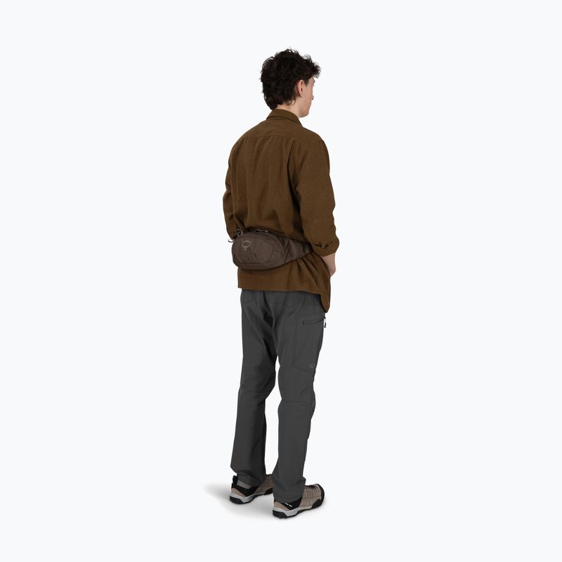 Сумка бананка Osprey Daylite Waist 2 l truffle brown 4