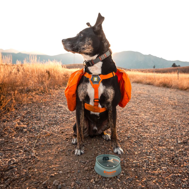 Миска для собаки HydraPak Rover sutro green 4