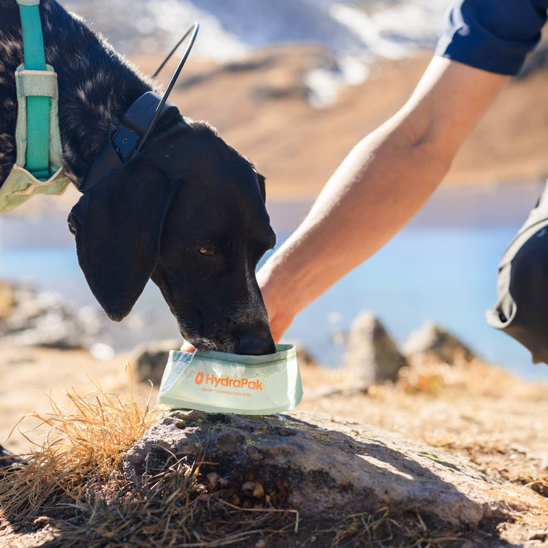 Миска для собаки HydraPak Rover sutro green 6