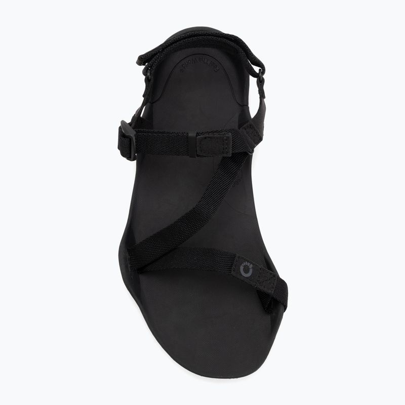 Сандалі barefoot жіночі Xero Shoes Z-Trek black 5