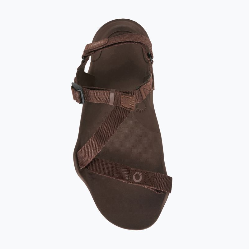Сандалі barefoot чоловічі Xero Shoes Z-Trek brown 7