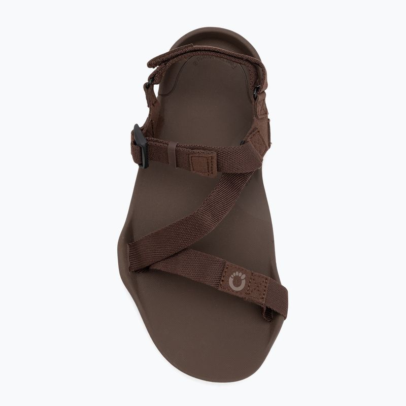 Сандалі barefoot чоловічі Xero Shoes Z-Trek brown 5