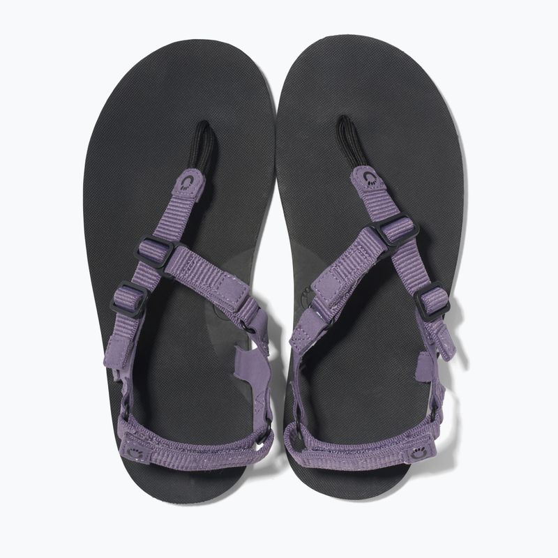 Сандалі barefoot жіночі Xero Shoes H-Trail sage purple 6