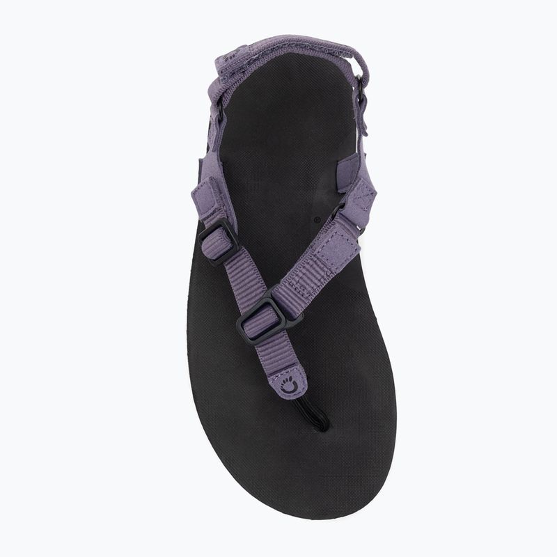 Сандалі barefoot жіночі Xero Shoes H-Trail sage purple 5