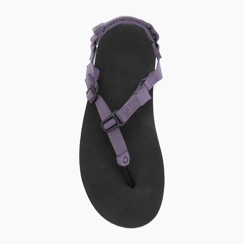 Сандалі barefoot жіночі Xero Shoes H-Trail sage purple HTW-SGPU 5