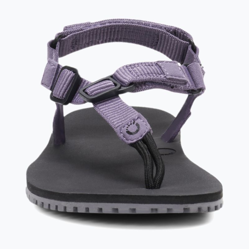 Сандалі barefoot жіночі Xero Shoes H-Trail sage purple HTW-SGPU 4