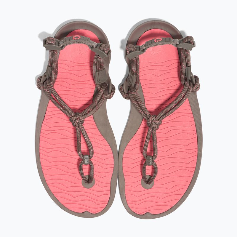 Сандалі barefoot жіночі Xero Shoes Aqua Cloud moel/sunset coral 8