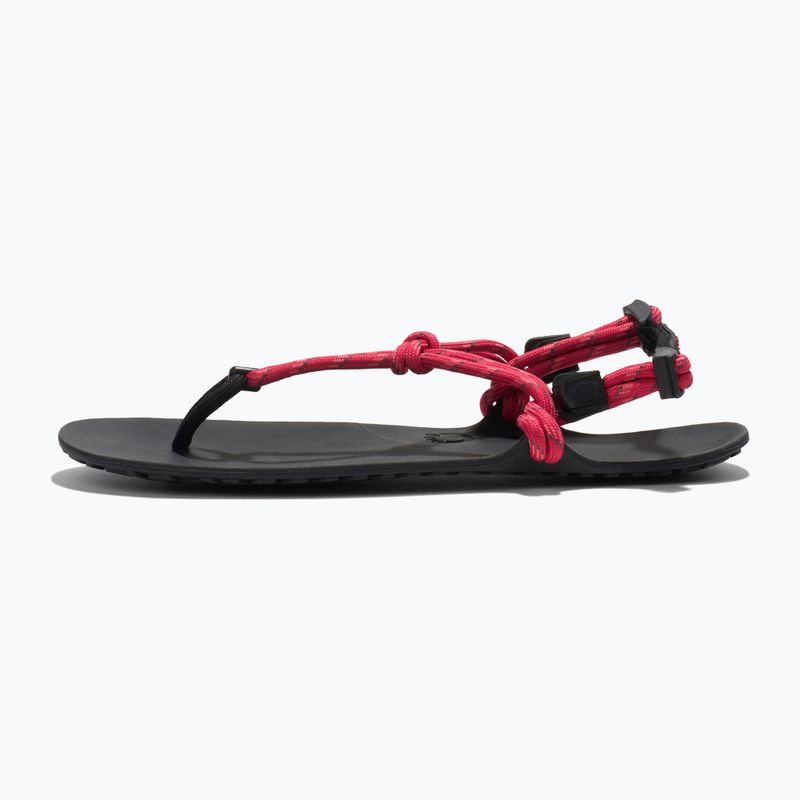 Сандалі barefoot жіночі Xero Shoes Genesis raspberry 2