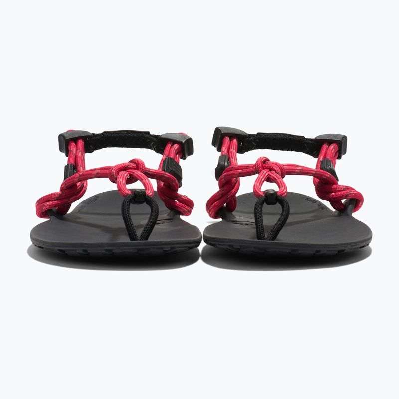 Сандалі barefoot жіночі Xero Shoes Genesis raspberry 3