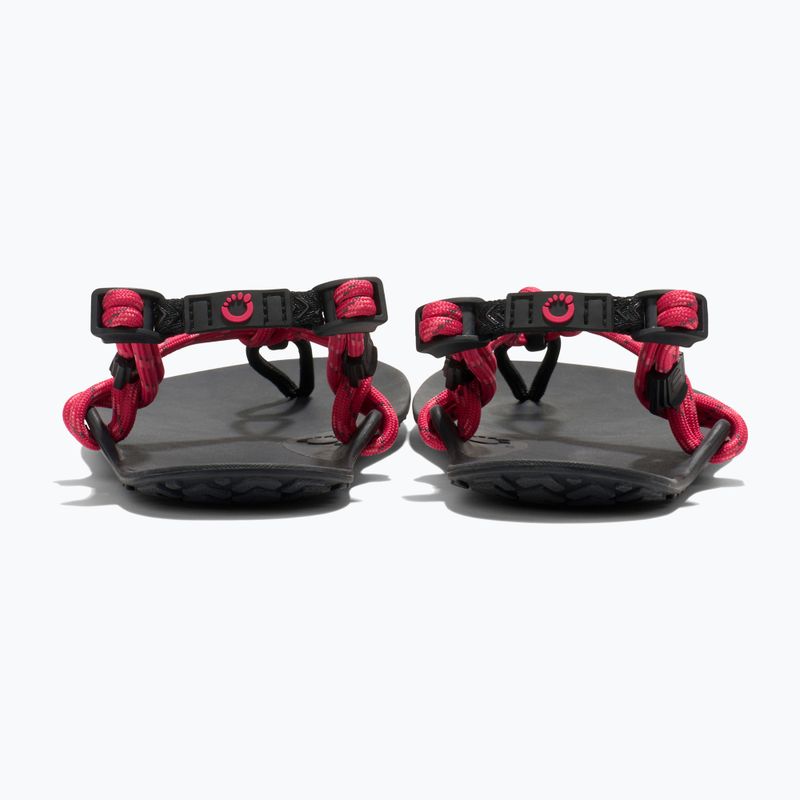 Сандалі barefoot жіночі Xero Shoes Genesis raspberry 4
