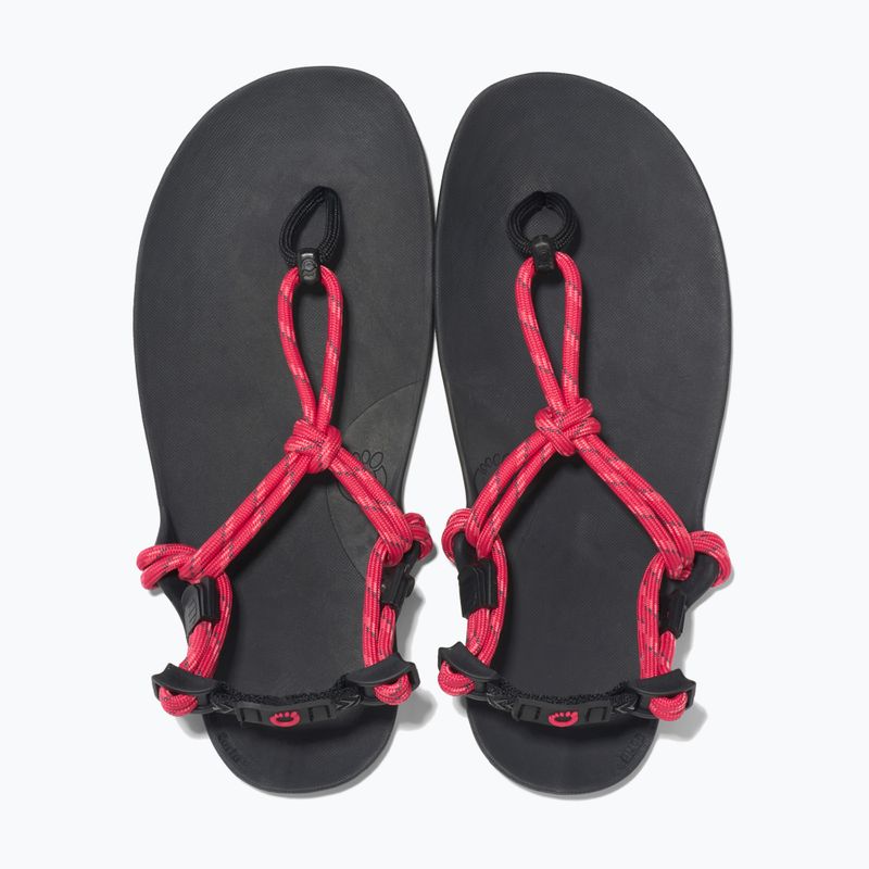 Сандалі barefoot жіночі Xero Shoes Genesis raspberry 5