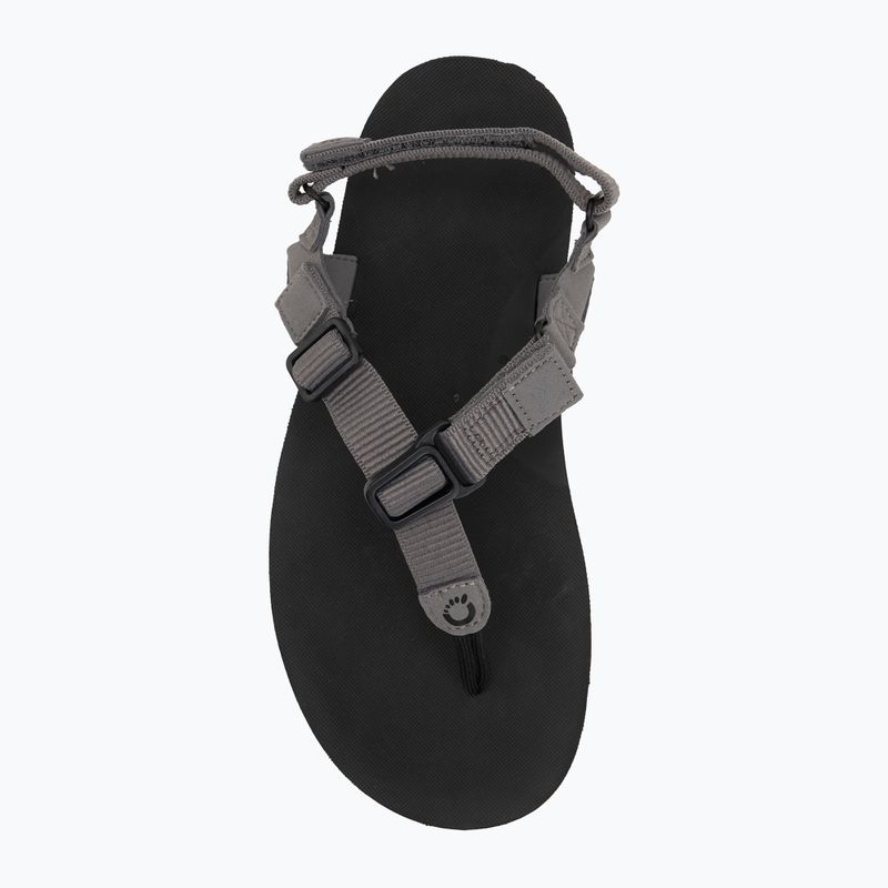 Сандалі barefoot чоловічі Xero Shoes H-Trail steel gray/blue/lolite 5