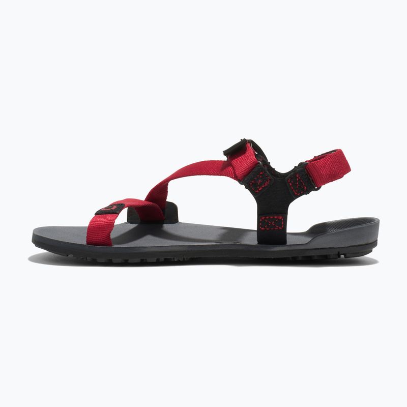 Сандалі barefoot дитячі Xero Shoes Z-Trail charcoal/red pepper 2