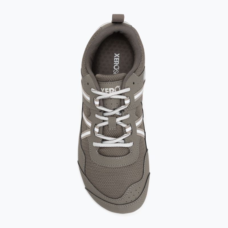 Кросівки barefoot чоловічі Xero Shoes Prio fallen / rock 5