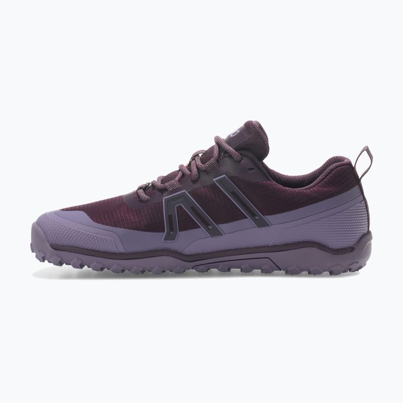 Кросівки barefoot жіночі Xero Shoes Scrambler Trail Low WP Plum perfect/sage purple 9
