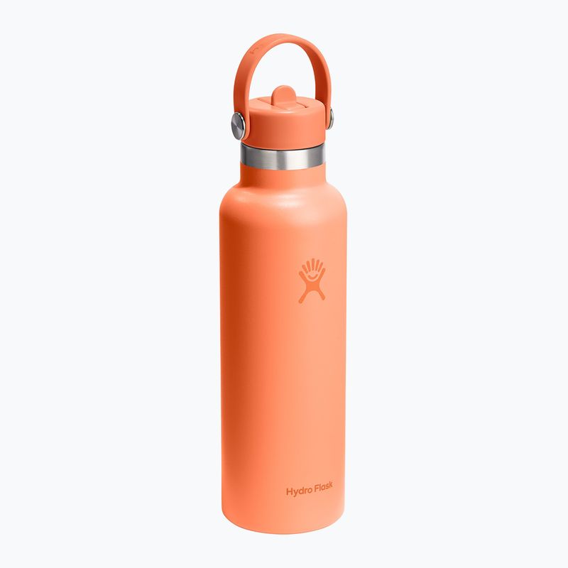 Пляшка термічна Hydro Flask Standard Flex Straw 620 мл nectar 2