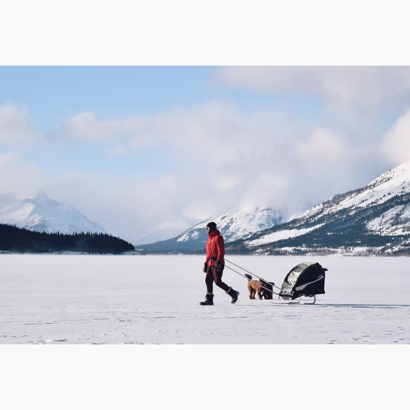 Набір лижний для причепа Burley Ski Kit 3