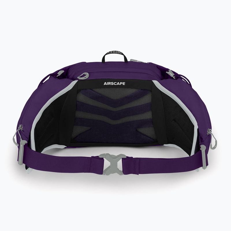 Сумка-бананка жіноча Osprey Tempest 6 л violac purple 3
