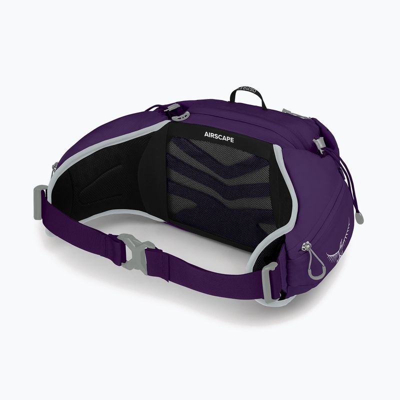 Сумка-бананка жіноча Osprey Tempest 6 л violac purple 3