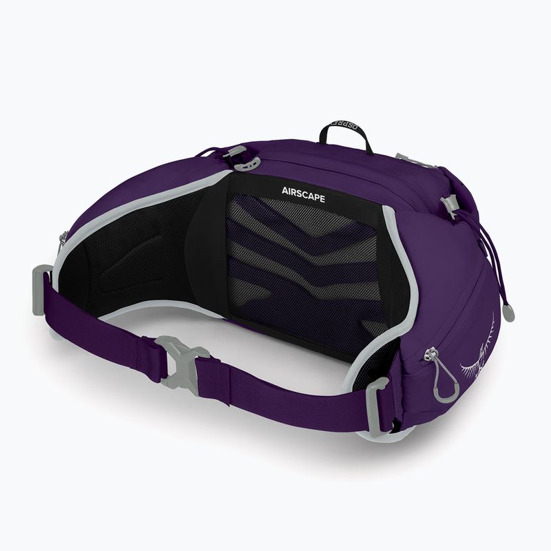 Сумка-бананка жіноча Osprey Tempest 6 л violac purple 4