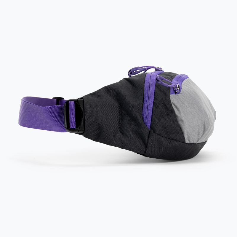 Барсетка Osprey Daylite Waist 2L сіро-фіолетова 10004202 2