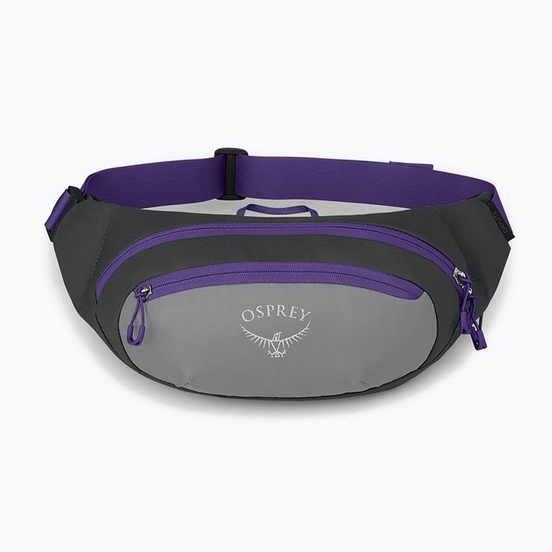 Барсетка Osprey Daylite Waist 2L сіро-фіолетова 10004202 9