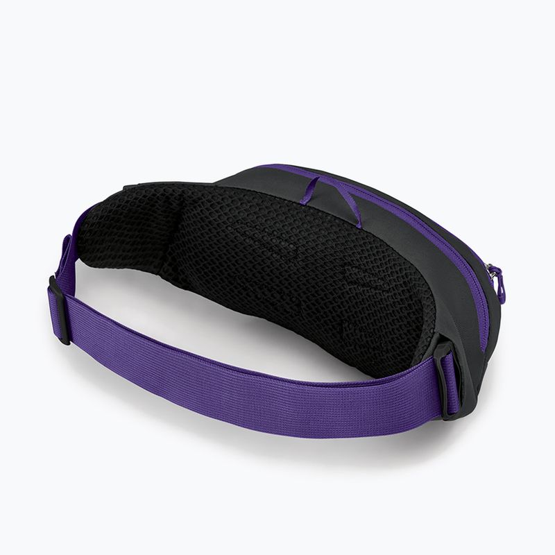 Барсетка Osprey Daylite Waist 2L сіро-фіолетова 10004202 10