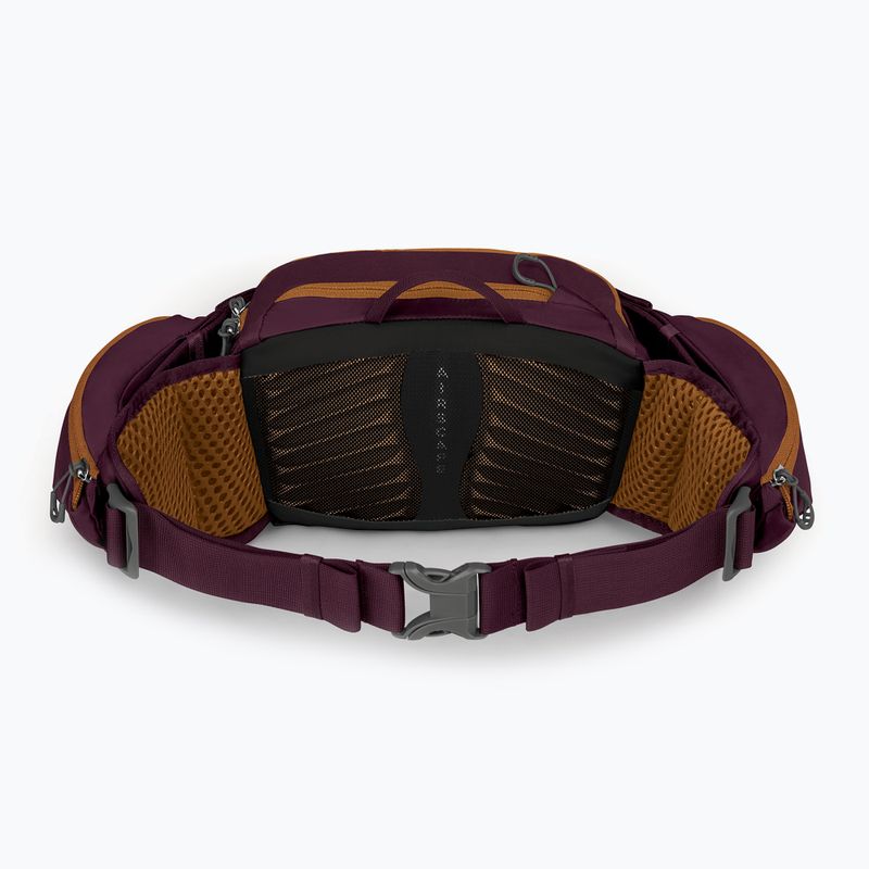 Фіолетовий чохол для велосипеда Osprey Savu 5 aprium 3