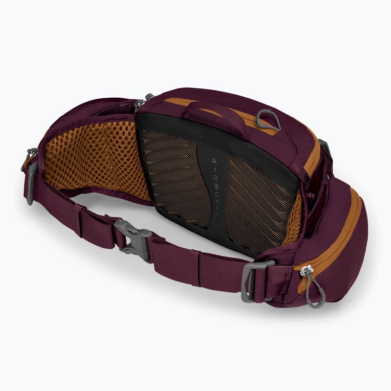 Фіолетовий чохол для велосипеда Osprey Savu 5 aprium 4