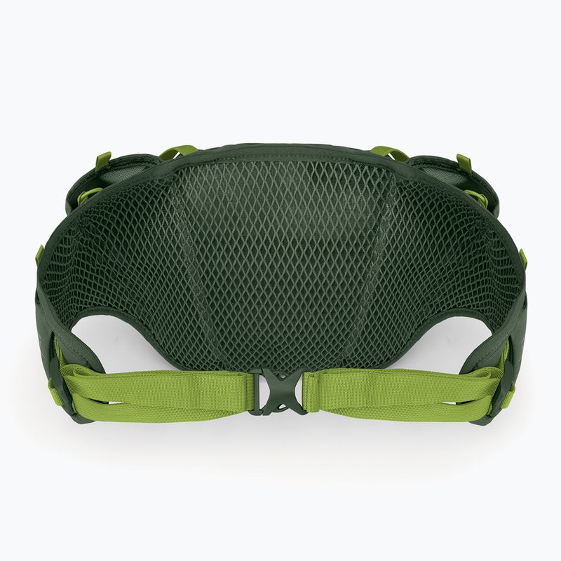 Сумка-бананка Osprey Duro Dyna 2 л seaweed green/limon 3