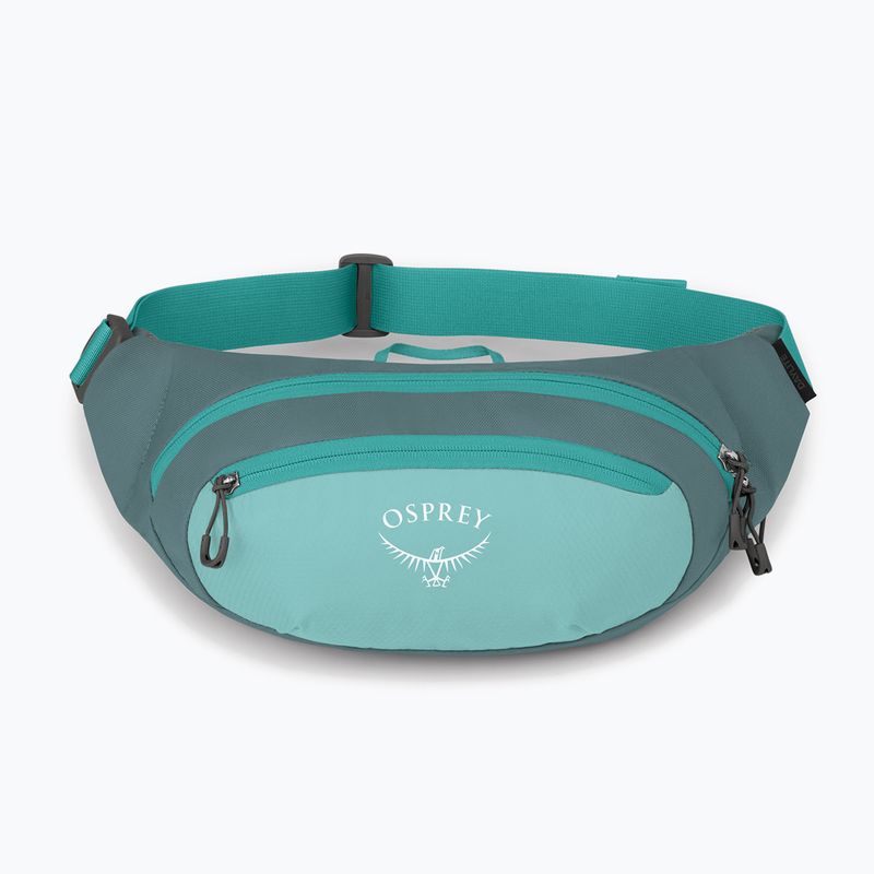 Підсумок для нирок Osprey Daylite Waist Waist jetstream blue/cascade blue