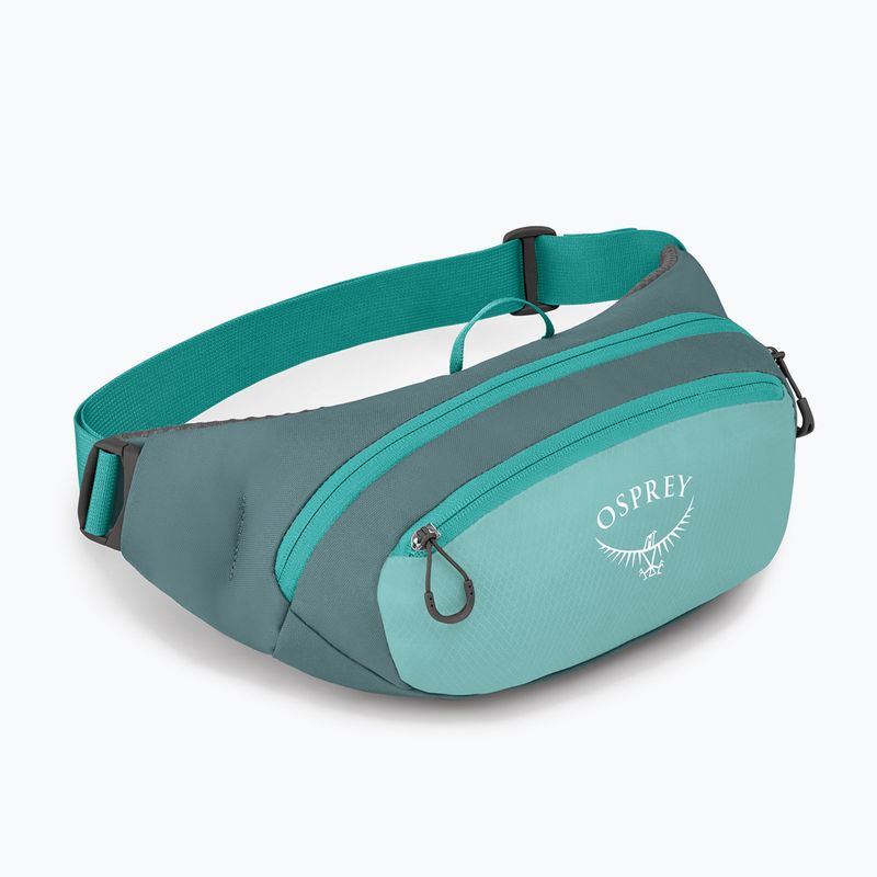Підсумок для нирок Osprey Daylite Waist Waist jetstream blue/cascade blue 2