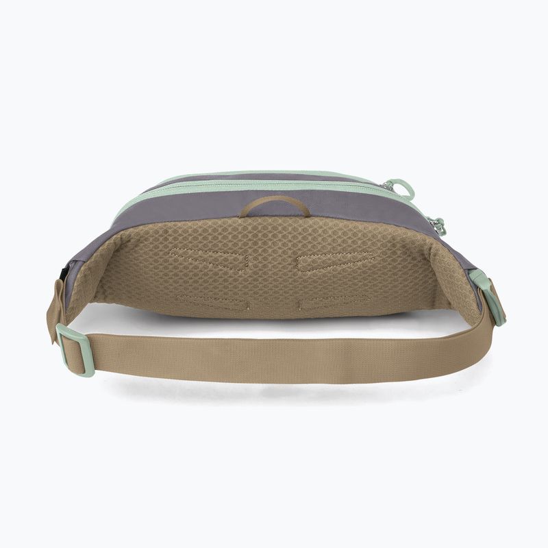 Сумка-бананка Osprey Daylite Waist 2 л soundwave grey/ latte brown 3