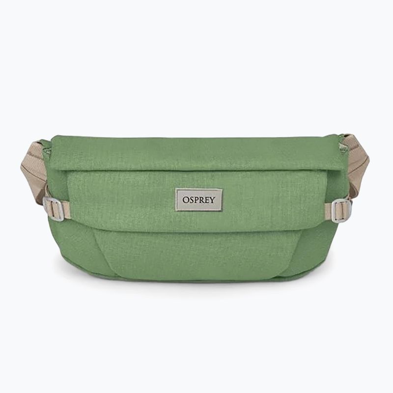 Сумка Osprey Arcane Hip 2 л botanica