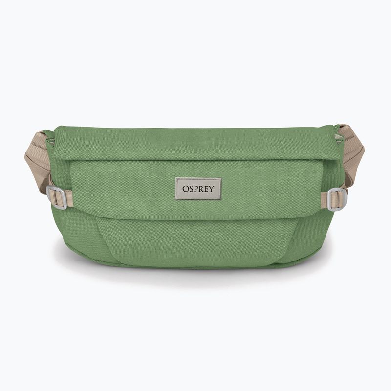 Сумка Osprey Arcane Hip 2 л botanica