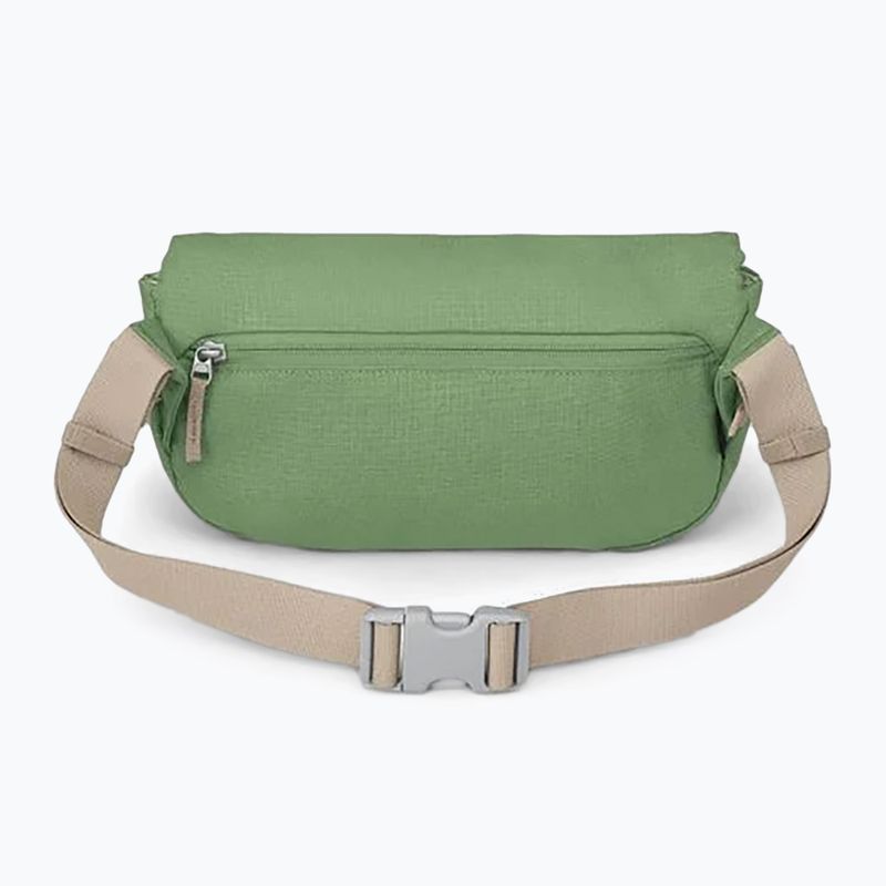 Сумка Osprey Arcane Hip 2 л botanica 2