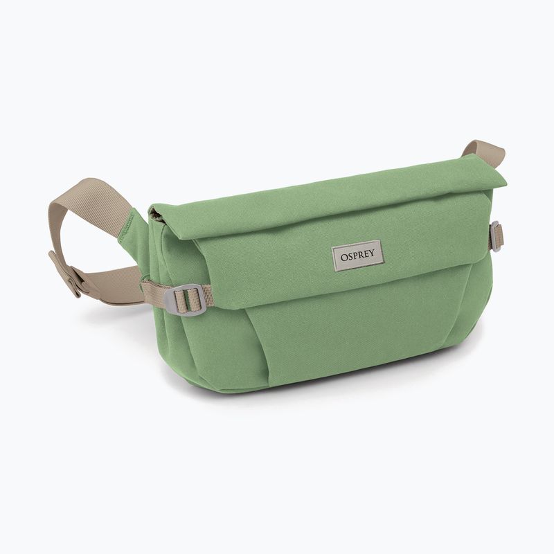 Сумка Osprey Arcane Hip 2 л botanica 2