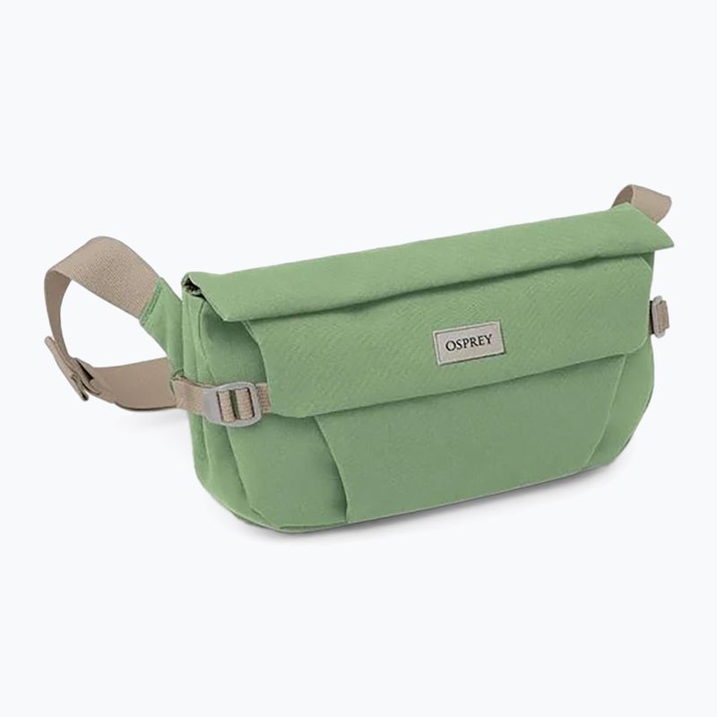 Сумка Osprey Arcane Hip 2 л botanica 3