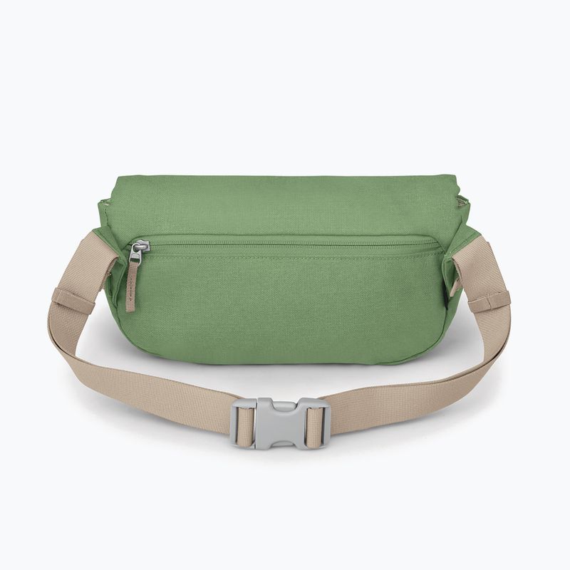 Сумка Osprey Arcane Hip 2 л botanica 3