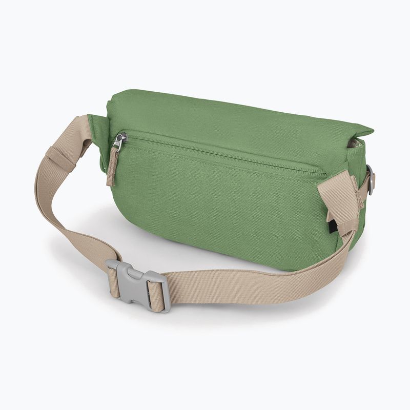 Сумка Osprey Arcane Hip 2 л botanica 4