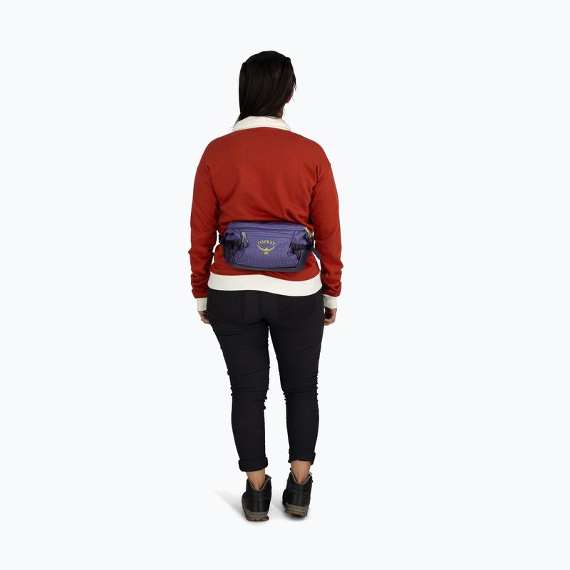 Сумка Osprey Transporter Waist Pack 3 л euphoria 8