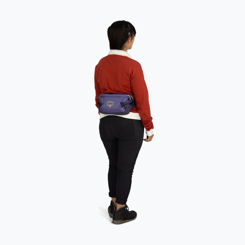 Сумка Osprey Transporter Waist Pack 3 л euphoria 9