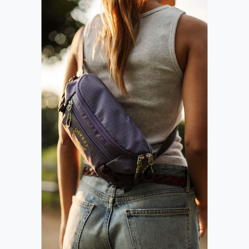 Сумка Osprey Transporter Waist Pack 3 л euphoria 14