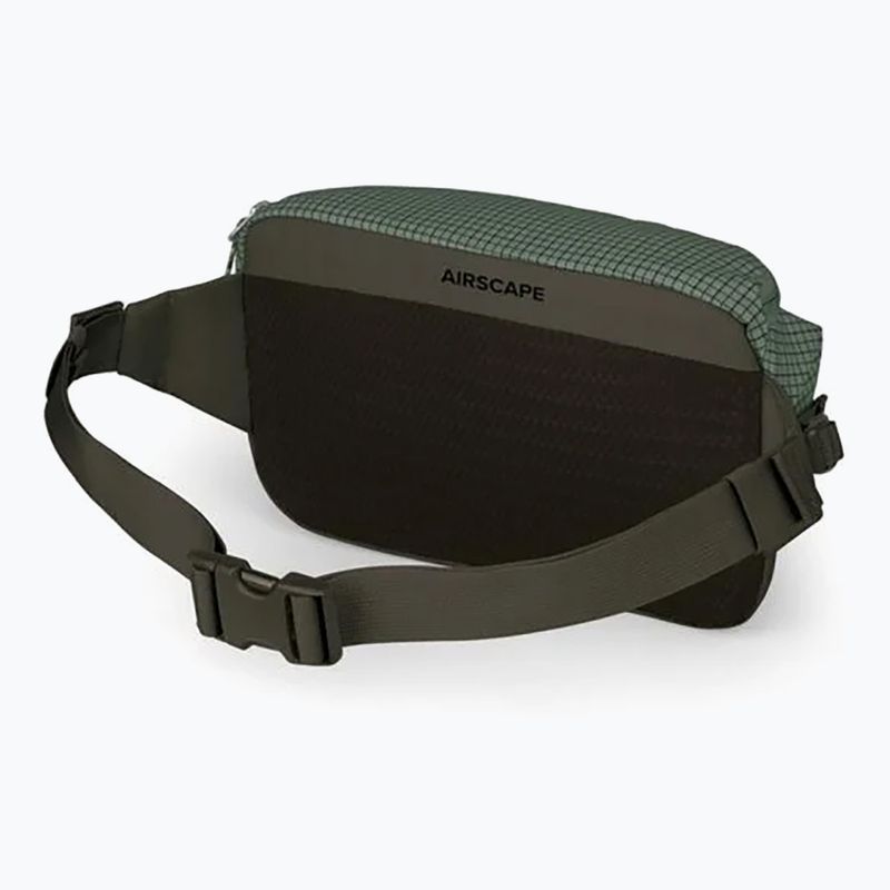 Сумка Osprey Transporter Waist Pack 3 л pine leaf 2