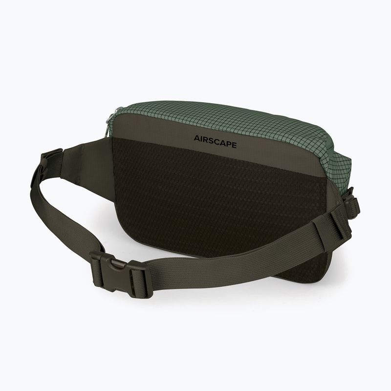 Сумка Osprey Transporter Waist Pack 3 л pine leaf 3
