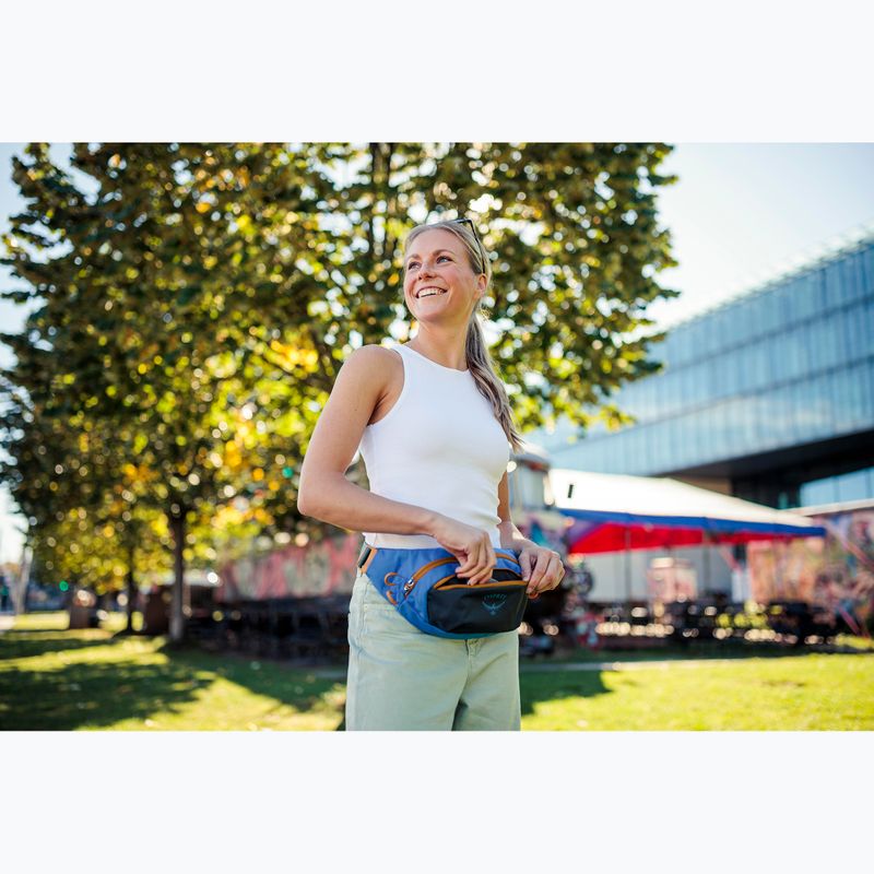 Сумка-бананка Osprey Daylite Waist Earth 2 л dark charcoal/blue flame 13